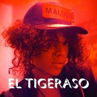 El Tigeraso - Maluca, Diplo