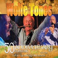 Sunday Bloody - The Wolfe Tones