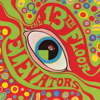 The 13th Floor Elevators