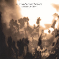 Autumn's Grey Solace