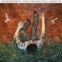 Reflection - Counterparts