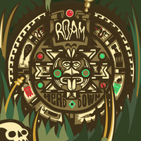 You Never Said - Roam