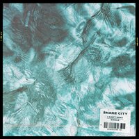 I Can't Deny - Snake City
