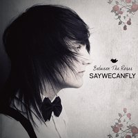 Stardust - SayWeCanFly