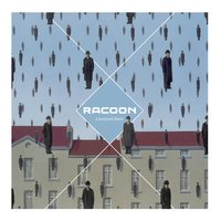Racoon