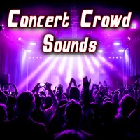 Large Outdoor Concert Crowd 3 - Sound Ideas