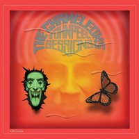 Things I Wish I'd Said - The Chameleons