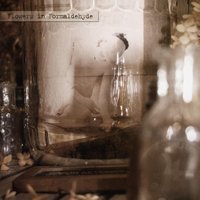 The Conqueror Worm - Sopor Aeternus & The Ensemble Of Shadows