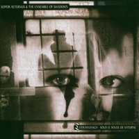 Only The Dead In The Mist - Sopor Aeternus & The Ensemble Of Shadows