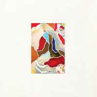 Studie - Teebs, Panda Bear