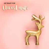 The Night Before Christmas - Merry Christmas, Classical Christmas Music and Holiday Songs, The Xmas Specials