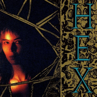 In the Net - Donnette Thayer, Steve Kilbey