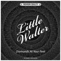 Baby Please Don't Go - Little Walter, Muddy Waters