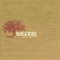 Promise What You Will - Iron, Wine