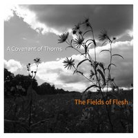 On Any Night but Tonight - A Covenant of Thorns