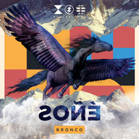 Bronco