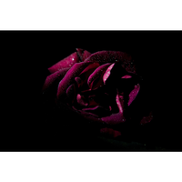 Silence - Spa Music Relaxation, Deep Sleep, Yoga Music