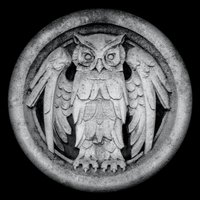 It's All I Know - Monarchy