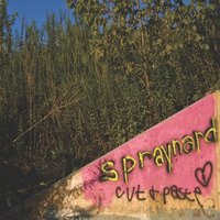 Spraynard