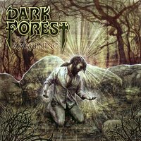 Secret Commonwealth - Dark Forest