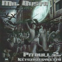 A Tűzben Edzett Férfi - Mr.Busta