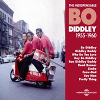 Dont Let It Go - Bo Diddley