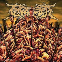 Endgame - Ingested