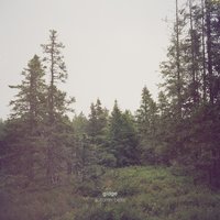 I Fell In Love - Gidge