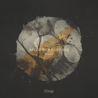 Entering the Silence - Red Pill, L'Orange