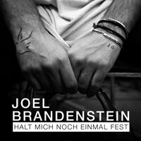 Halt mich noch einmal fest - Joel Brandenstein