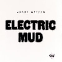 Let's Spend The Night Together - Muddy Waters