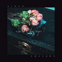 would i like you? - Aidan, cøzybøy