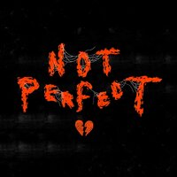 Not Perfect - Foreign Forest