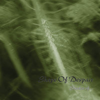 ...In The Mist - Shape Of Despair