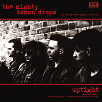 Happy Head - The Mighty Lemon Drops