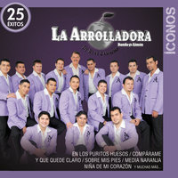 Te Quiero A Ti - La Arrolladora Banda El Limón De René Camacho