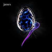 Ten Below - James
