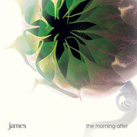 Dust Motes - James