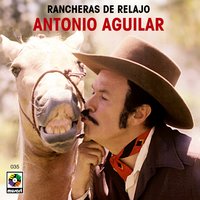 El Hombre Alegre - ANTONIO AGUILAR