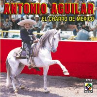 Despues De Tanto Tiempo - ANTONIO AGUILAR