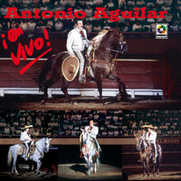 Ella (En Vivo) - ANTONIO AGUILAR