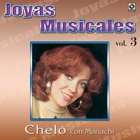 Cuando Salgo a los Campos - Chelo