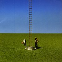 Tiquitiquitiqui - Árbol