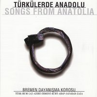 Çayelinden Öteye - Bremen Dayanışma Korosu, Koro
