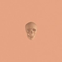 Create Your Own Reality - Pomegranates