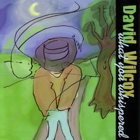 Start With the Ending - David Wilcox