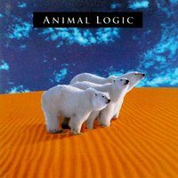 Stone In My Shoe - Animal Logic