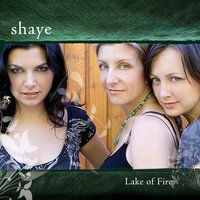 You're Not Alone - Shaye