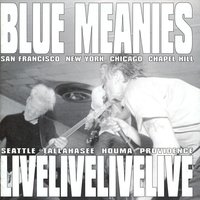 Acceleration 5000 - Blue Meanies