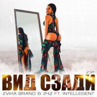 Вид сзади - Zvika Brand, 242, INtellegent